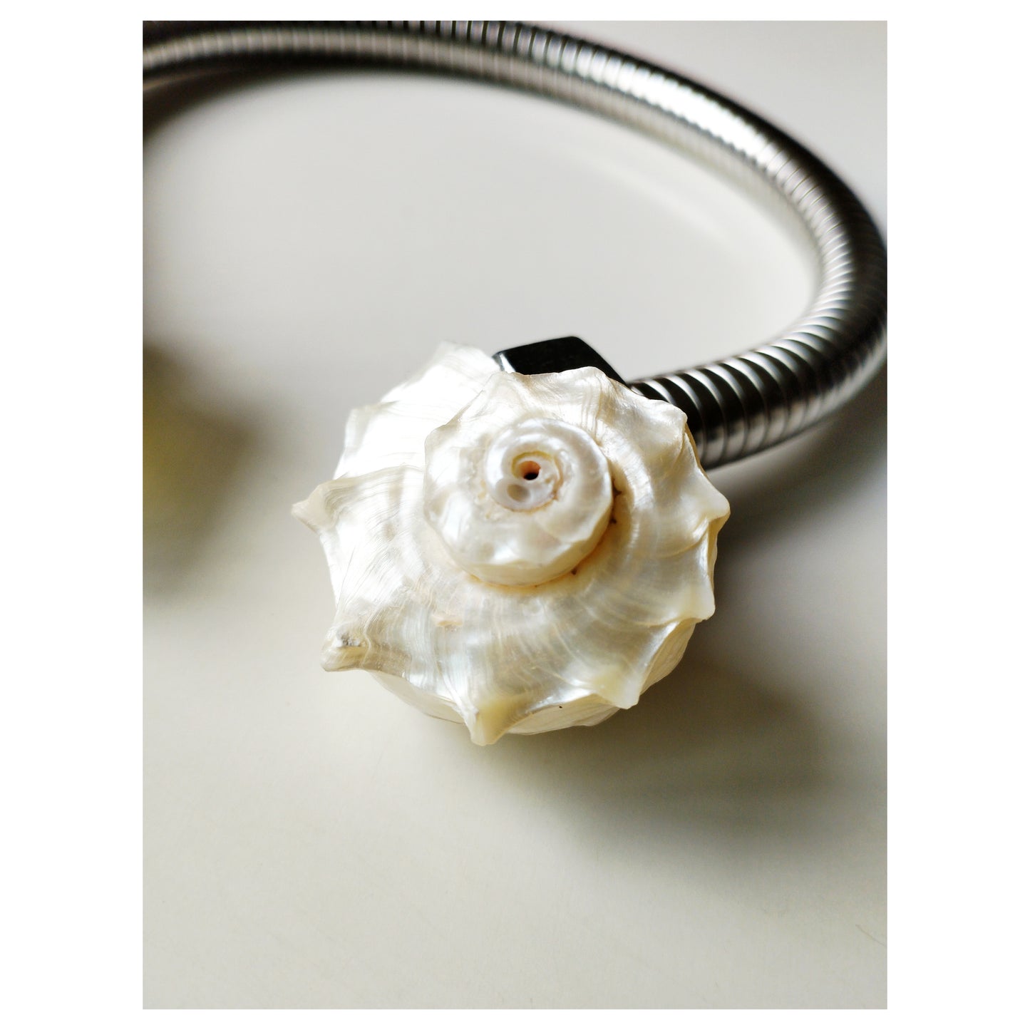 The Plumber IV / Shell + Raw Yellow Calcite